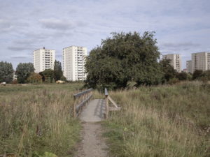 Yttrande om program för Östberga/Årstafältet södra