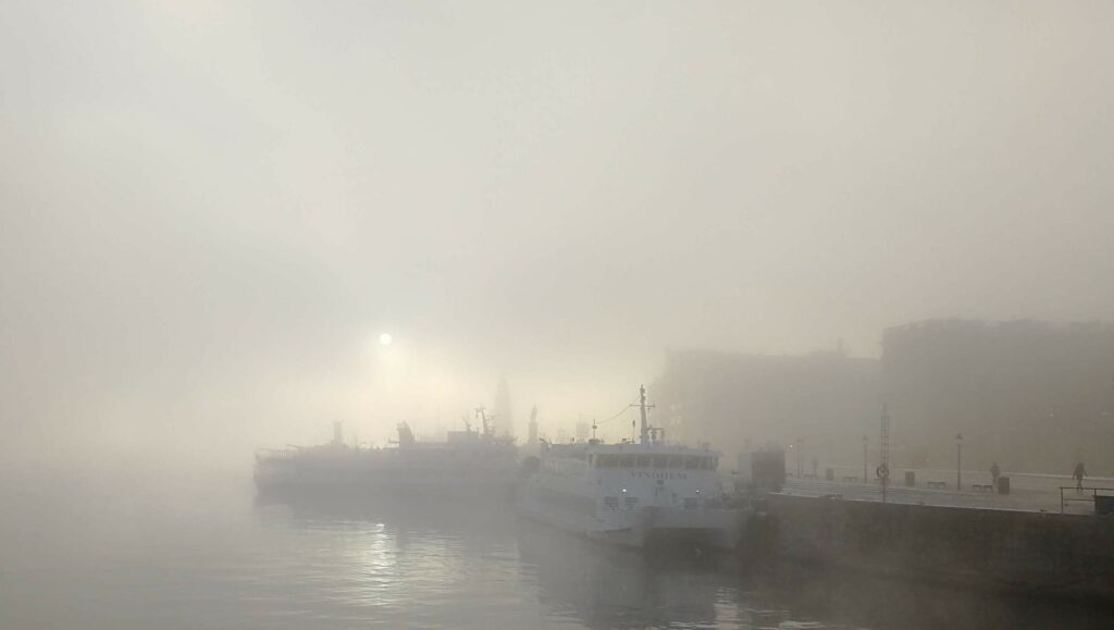 Höstmöte 2020 prisutdelningar