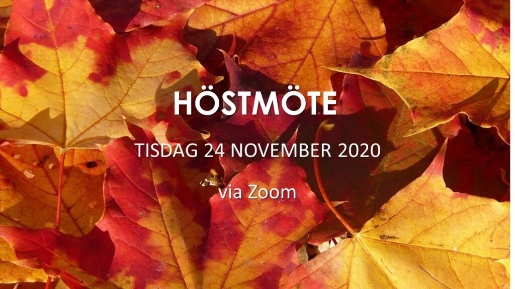 HÖSTMÖTE 24 november 2020 kl 19.00