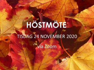 HÖSTMÖTE 24 november 2020 kl 19.00