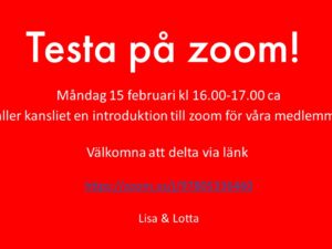 Testa på zoom!