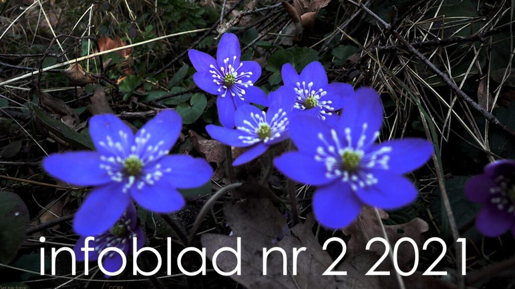 Infoblad nr 2/2021 för perioden april–maj är här!